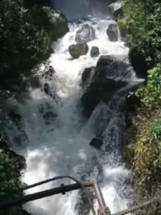 拯救精灵的土地8