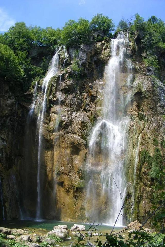 春雨直播app
