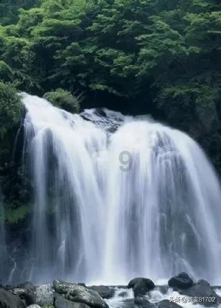坦克大乱斗