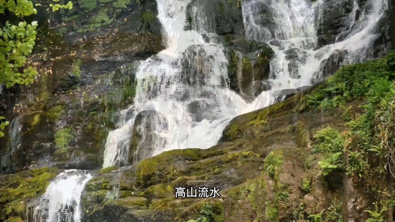 次元喵