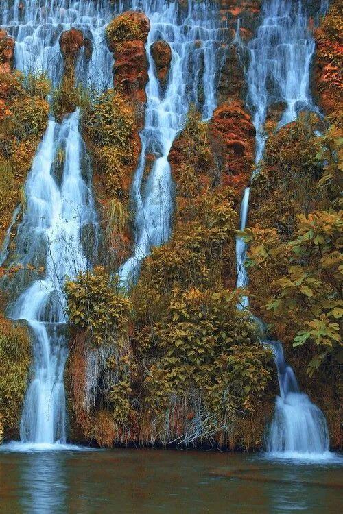 沪江开心词场
