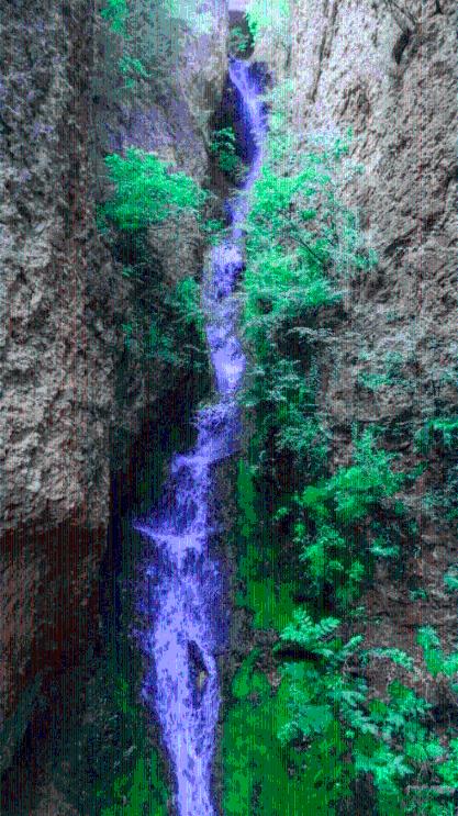 沪江开心词场