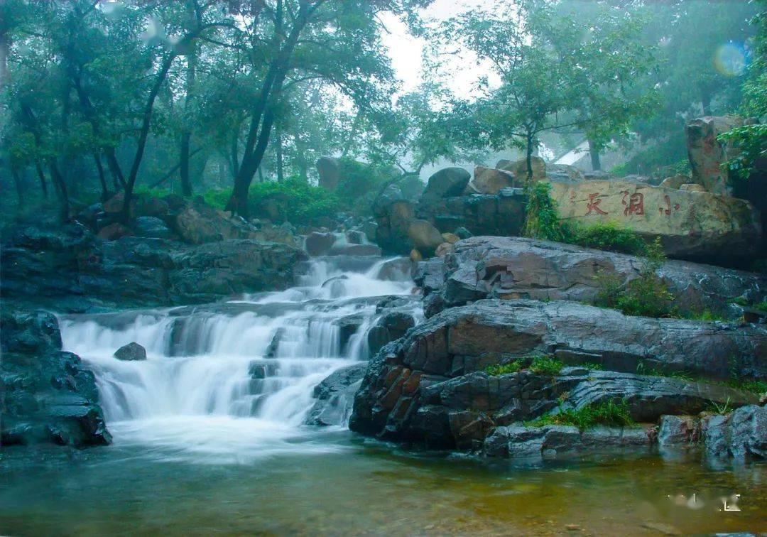 奥日与黑暗森林