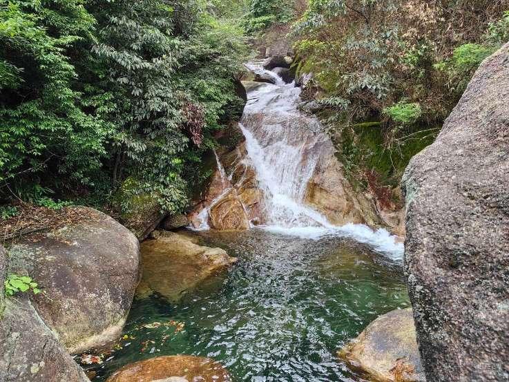 逃离森林小房