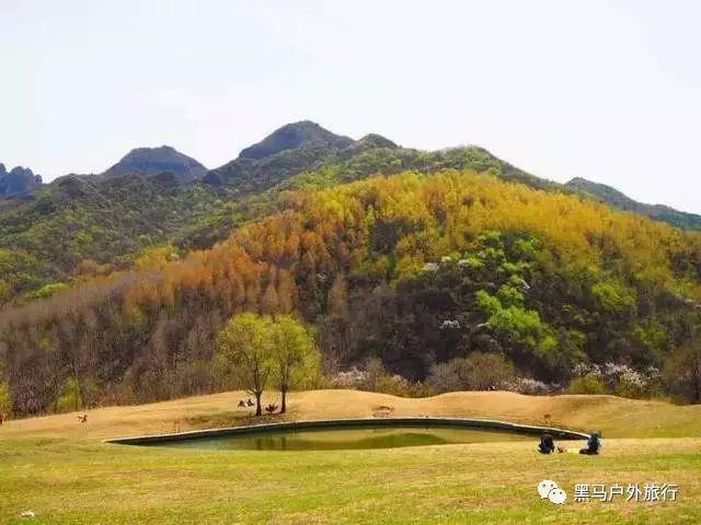 脑洞小老弟无实名认证