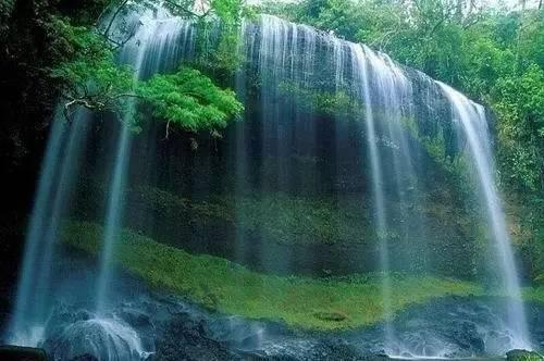 虫虫助手下载
