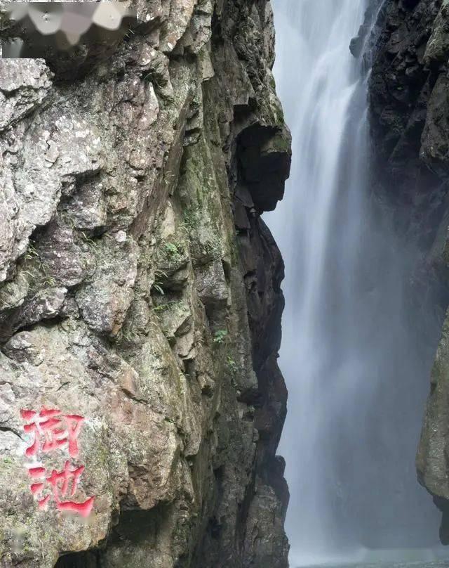动物帮帮忙保卫家园