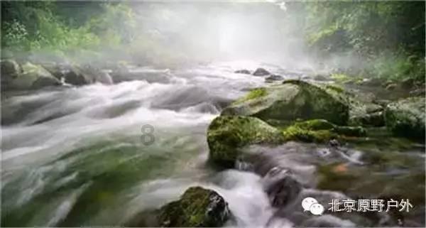 燃烧吧大脑装瓶子游戏