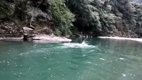 鑫闻界|券商密集披露业绩预告，“一哥”微降，中泰证券等利润倍增