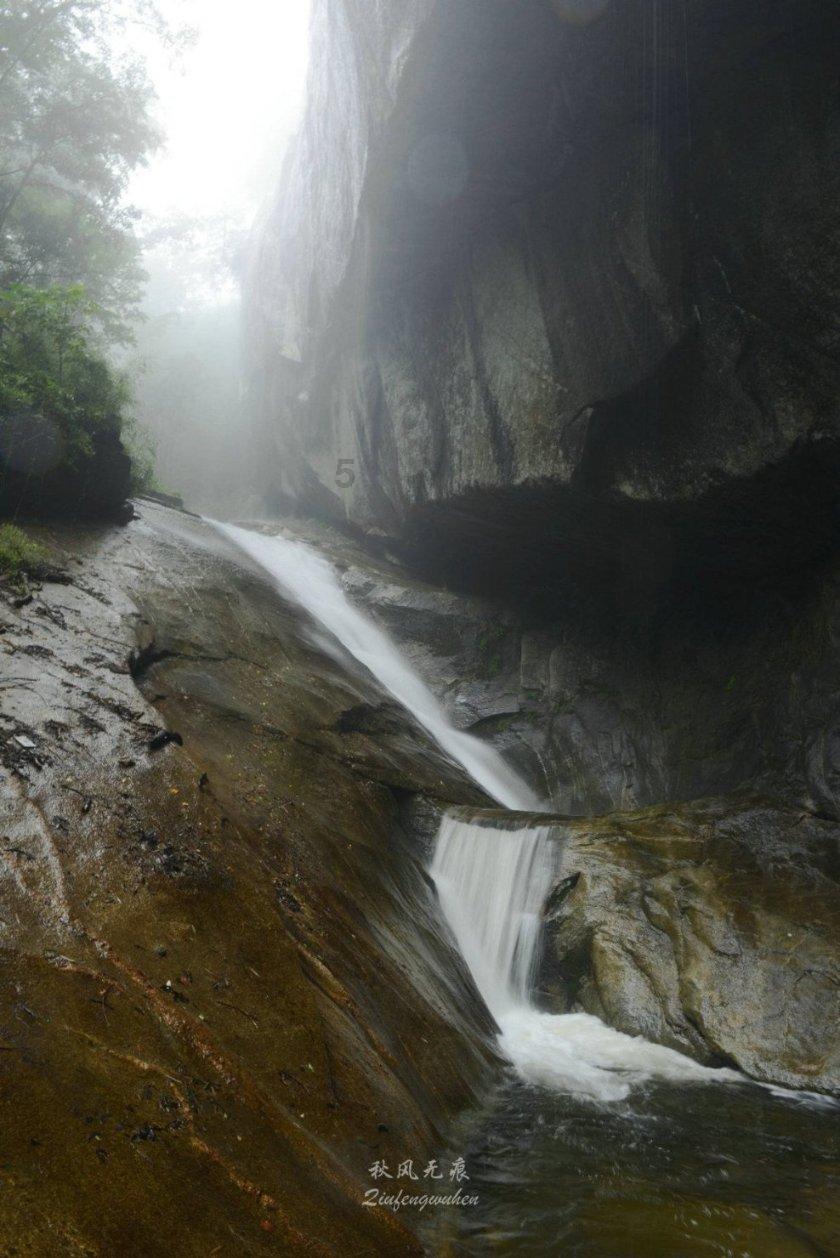 缤纷水果茶