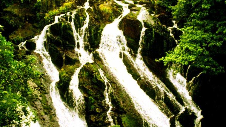 沪江开心词场