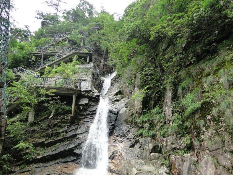 探索知识星球平台,加入吃剩的酸奶可以倒进蔬菜桶发酵做酵素浇花浇菜么?广泛学习交流