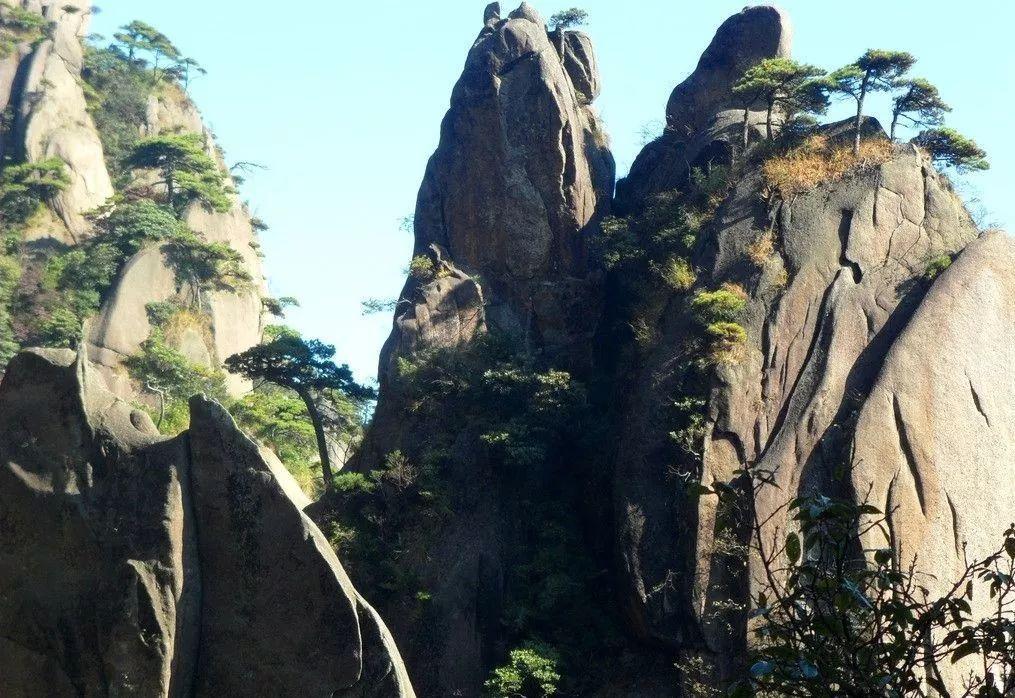 狮群和狼群最大的区别游戏画面