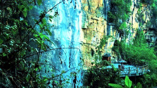 龙腾虎跃、鱼跃龙门,形容词都不够用了,西湖景区龙形花灯出圈