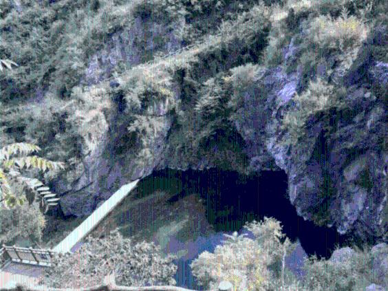 一种穿搭火了，“露脐装”展现春季魔鬼身材，杨颖也忍不住了