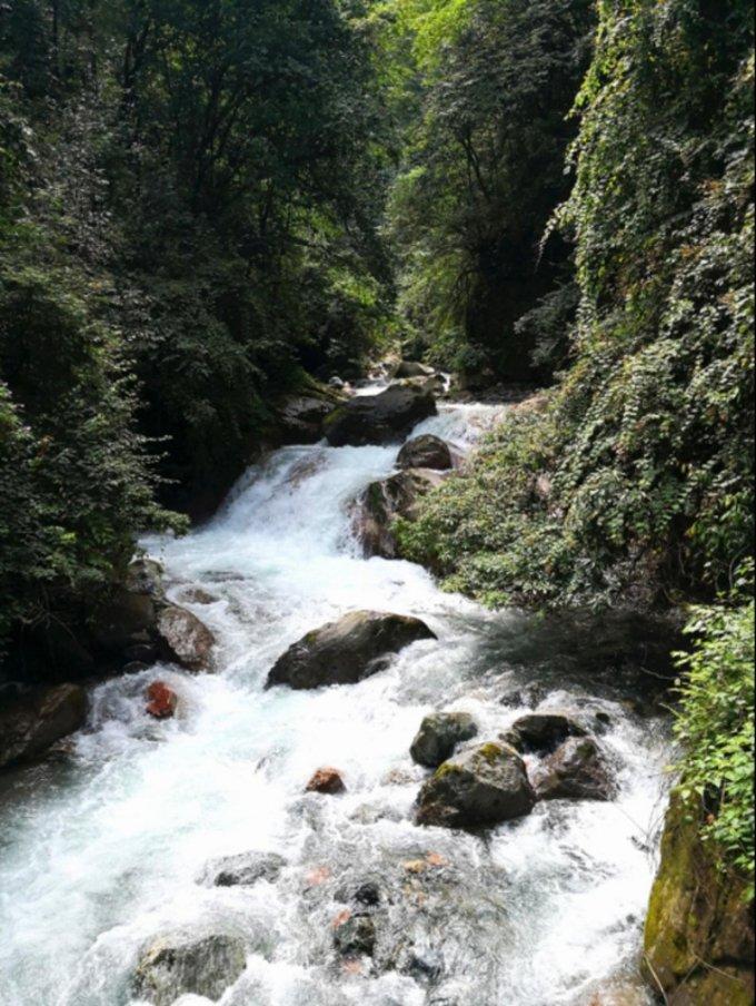 逃离别墅度假村