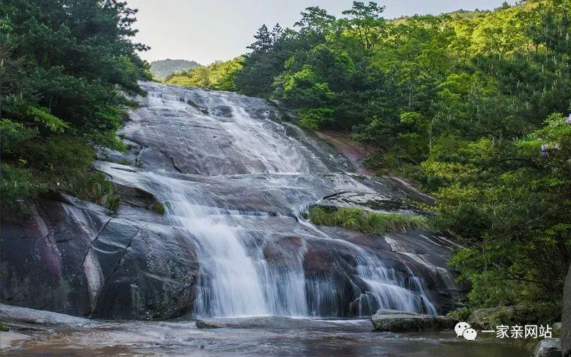 动物帮帮忙保卫家园
