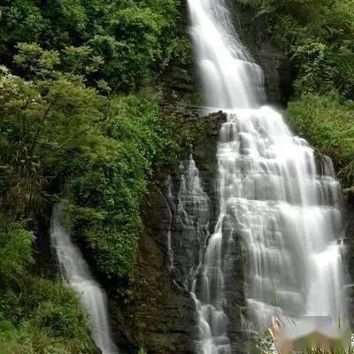 佩杜拉:贝洛蒂首选加盟佛罗伦萨,后者尝试压哨完成交易