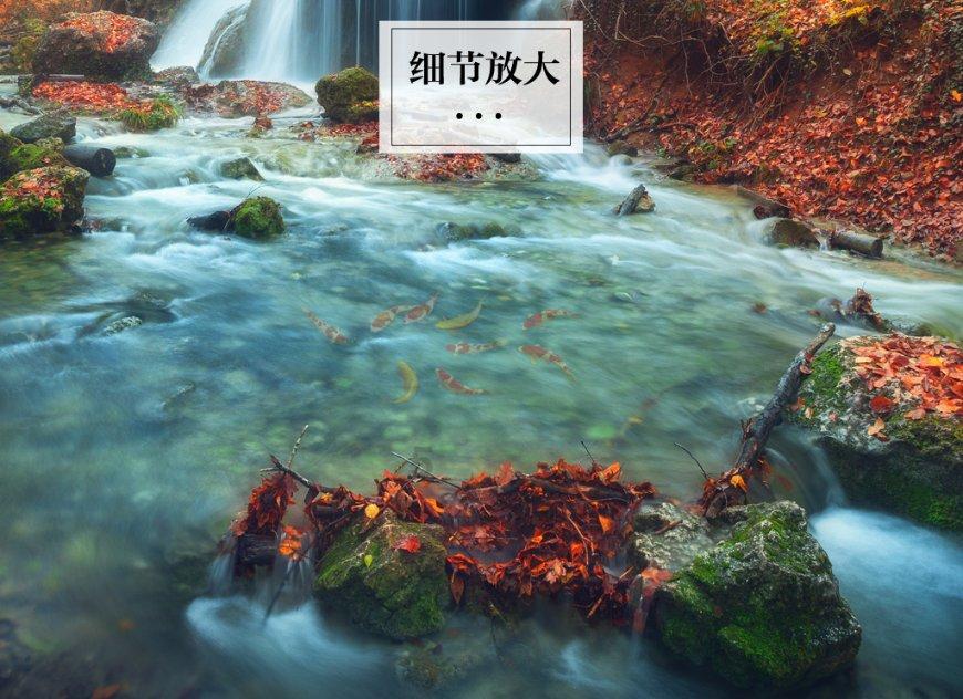 生活中我们在教育孩子的过程中你觉得最好的教育观念是什么？游戏画面