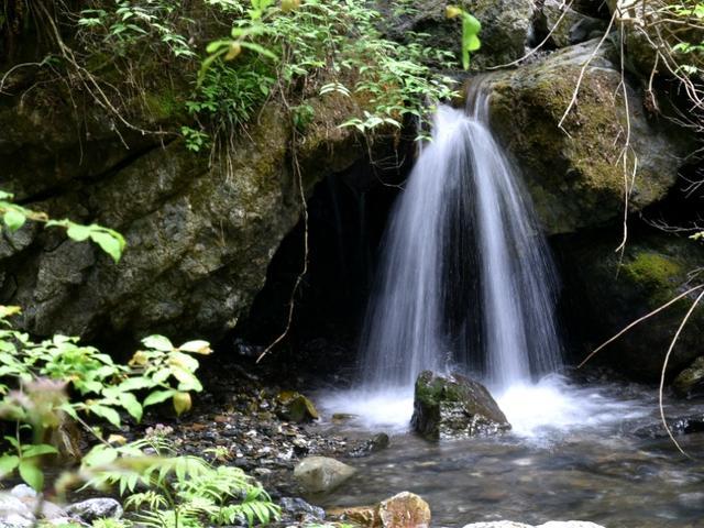 逃离粉红岛