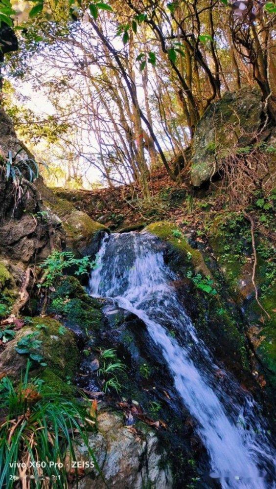 虫虫助手下载