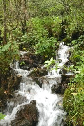 逃离拇指山地