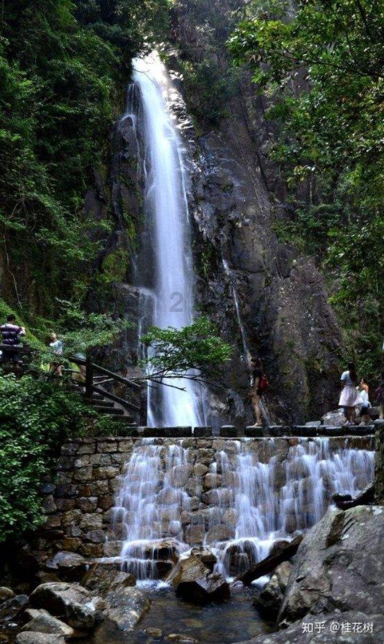 牛油果面包