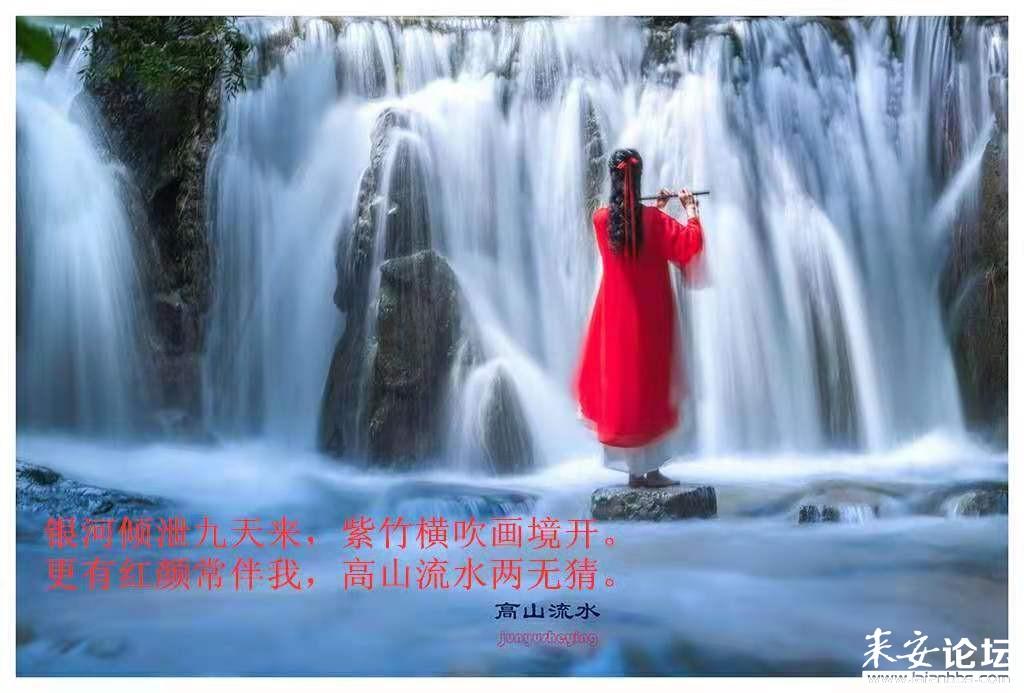 次元喵