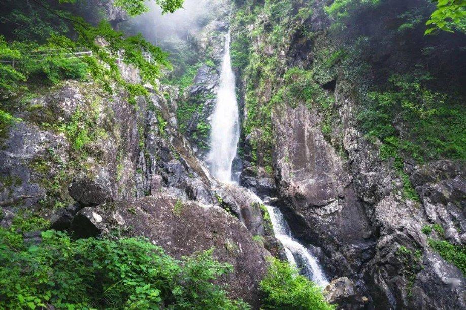 《中餐厅6》王俊凯杨紫进期待名单，你期待谁来参加呢？游戏画面