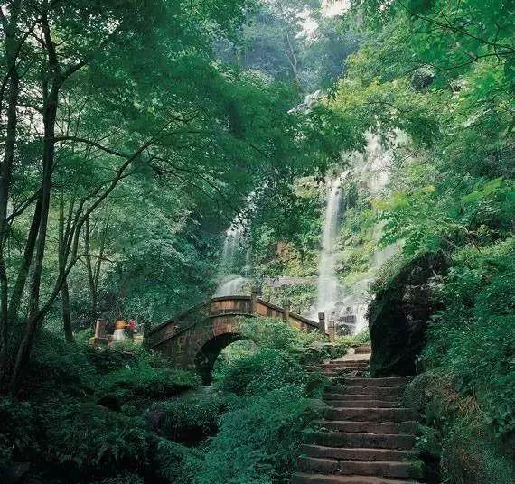 拯救小松鼠