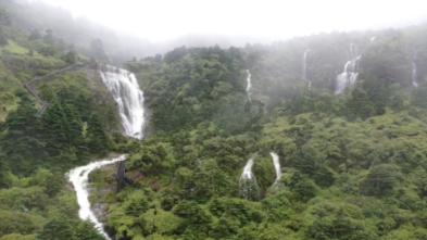 春雨直播app