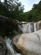 驱灵师