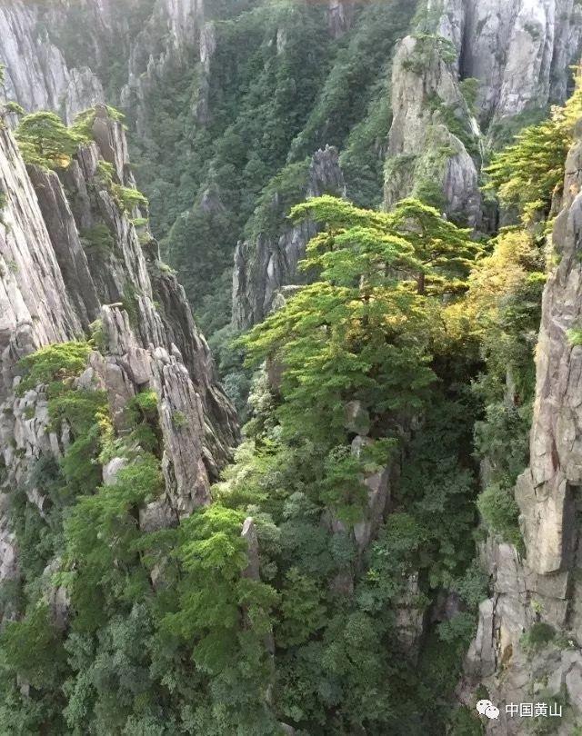 圣诞老人搭末班车4