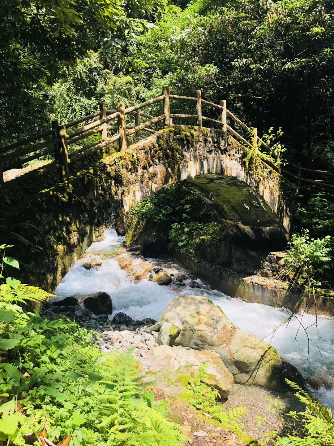 水果甜心经典版