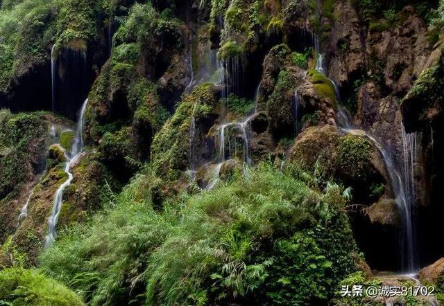 春雨直播app