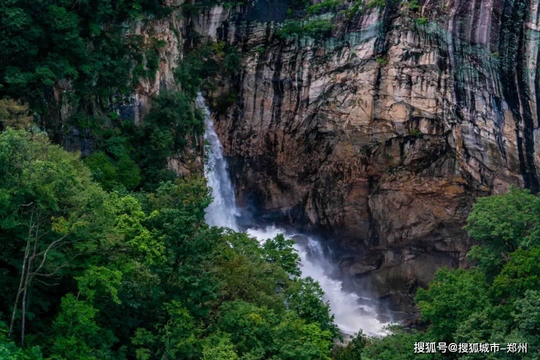 月光影视