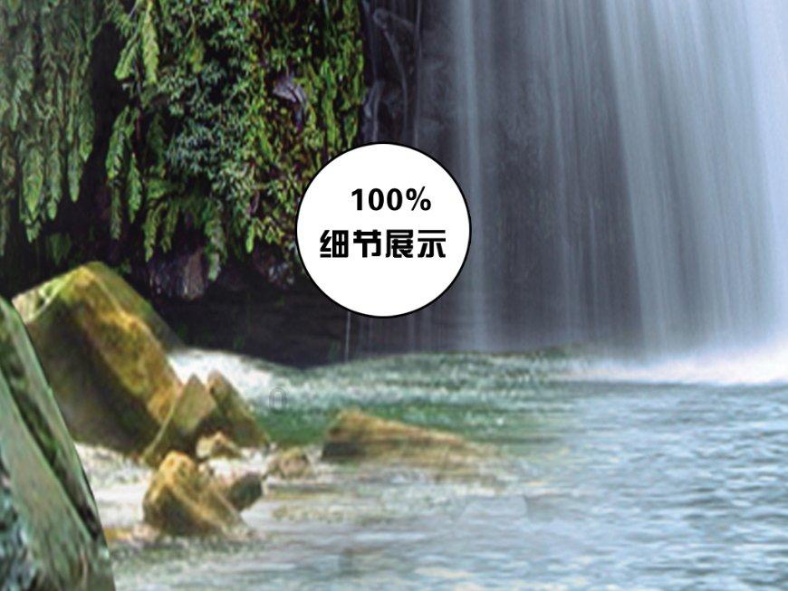 观察者