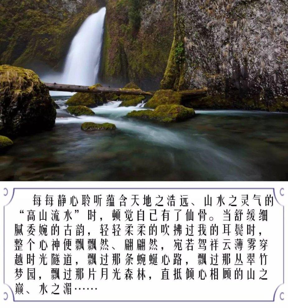 逃离野丛之森
