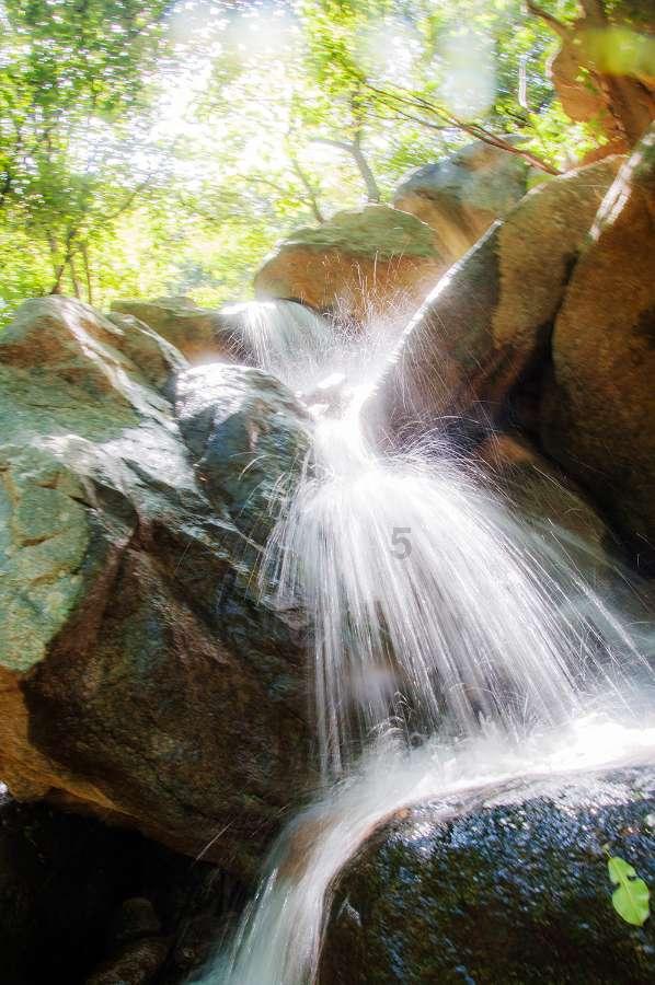 虫虫助手下载