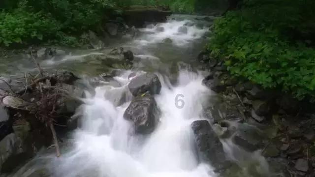 春节期间快递会停运吗?多家公司明确