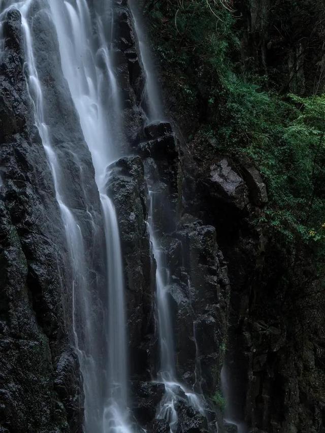 月光影视