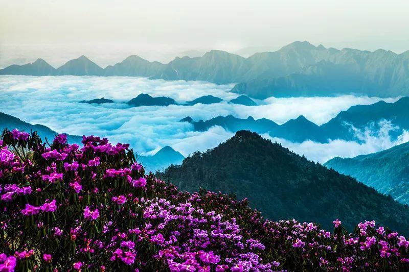 在陌陌上发不露脸的隐私、照片有风险吗？游戏画面
