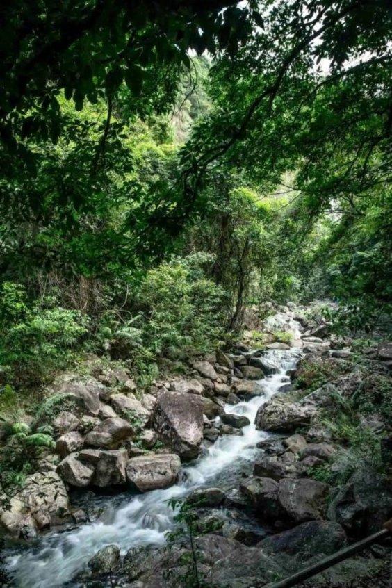 北欧创新科技呈现：北欧肌谜为您开启塑形之旅
