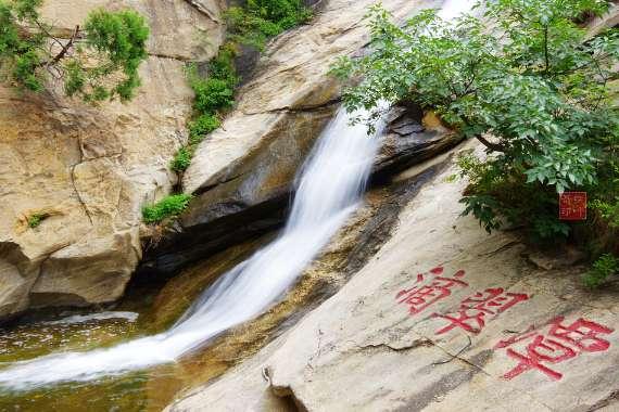 动物帮帮忙保卫家园
