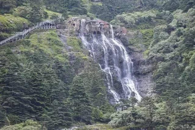 尉迟恭大闹李世民的寿宴,事后李世民试探地问他:听说你要造反?