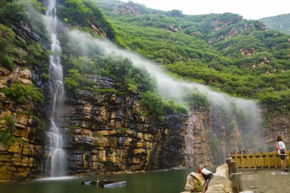 奥日与黑暗森林
