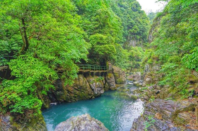 虫虫助手下载