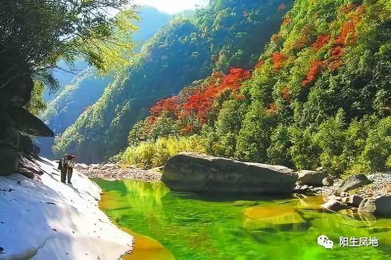 救援贪玩的大象