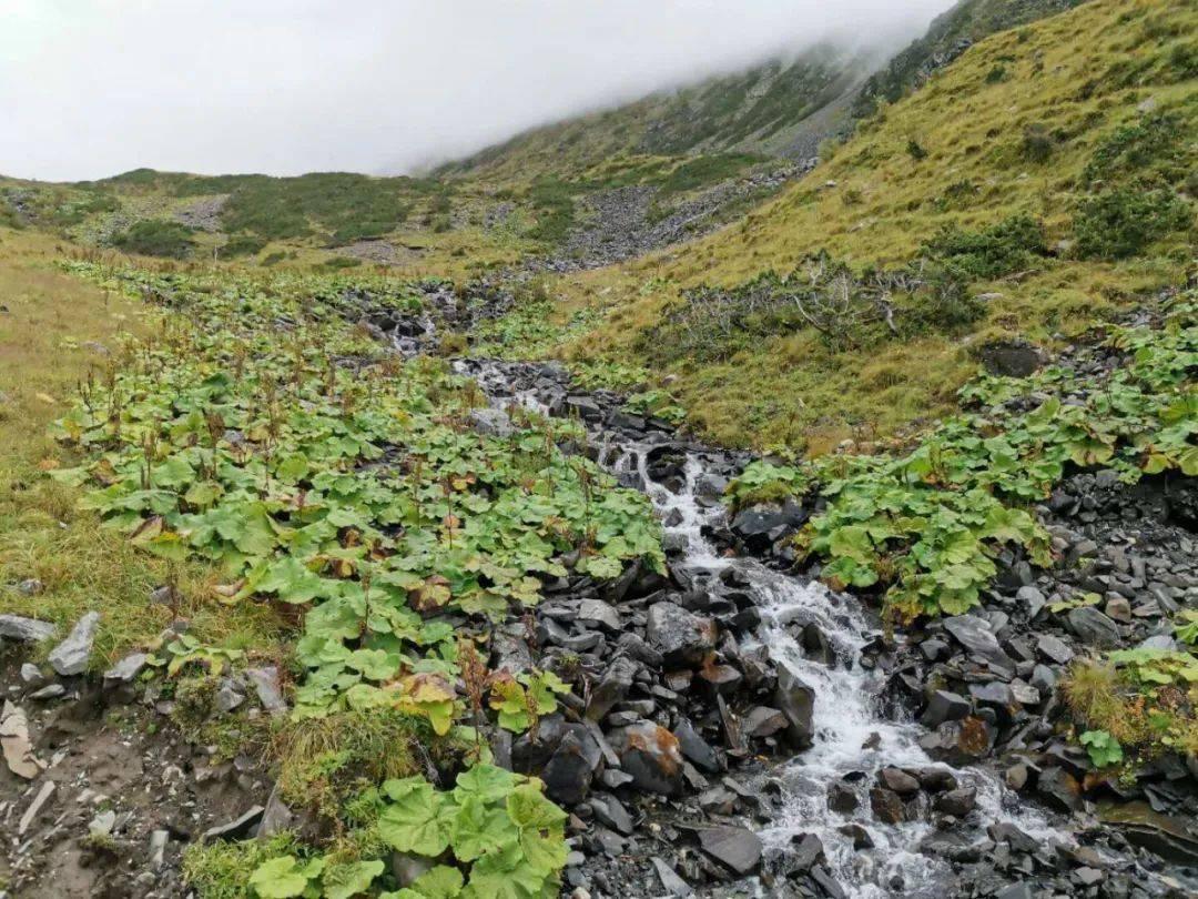（经济观察）下好川渝“一盘棋” 推进成渝地区双城经济圈建设走深走实