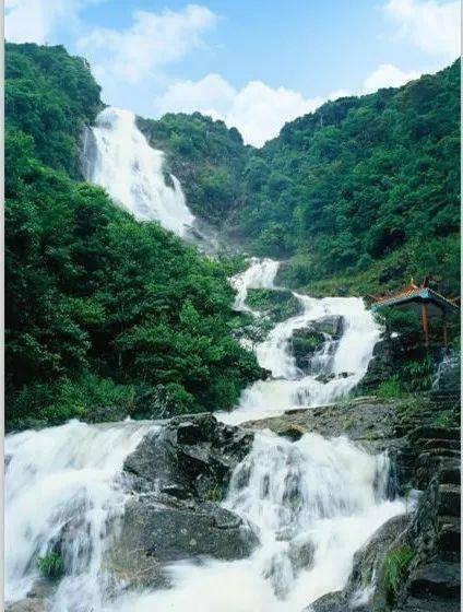 拯救巧虎4